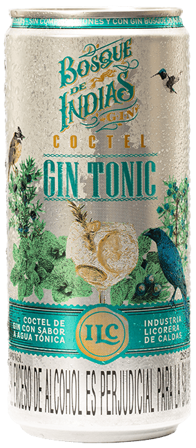 Gin Tonic RTD